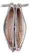GUESS WOMEN BAG TIDEWOOD MINI DBL ZIP CROSSBDY