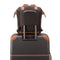 DELSEY PARIS CHATELET AIR 2.0 Backpack Tote Brown