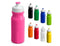 Carnival Water Bottle - 300ml