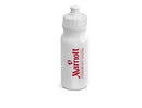 Carnival Water Bottle - 300ml